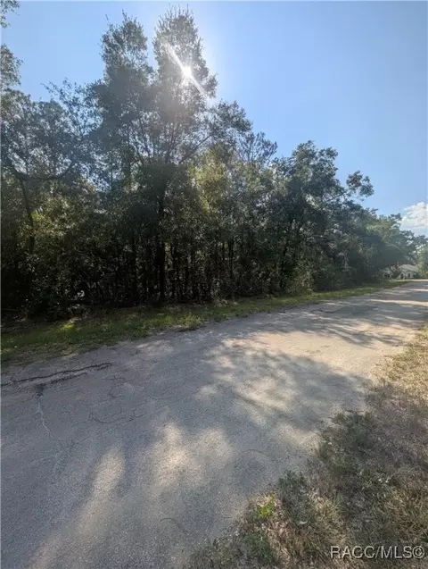 10484 N Holcomb Dr, Citrus Springs, FL 34434