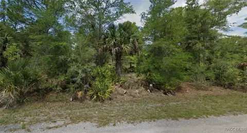 11615 W Cornflower Dr, Crystal River, FL 34428