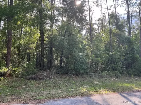 8852 N Spikes Way, Dunnellon, FL 34434
