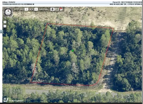 4665 W Abeline Dr, Citrus Springs, FL 34433