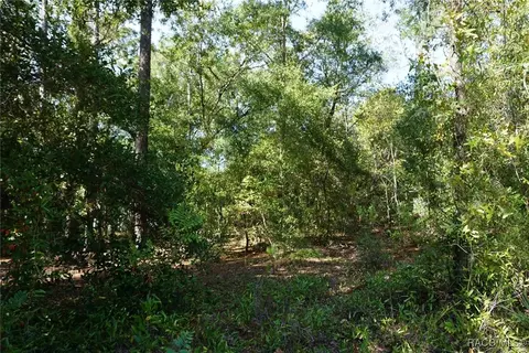 2169 W Rutland Dr, Citrus Springs, FL 34434