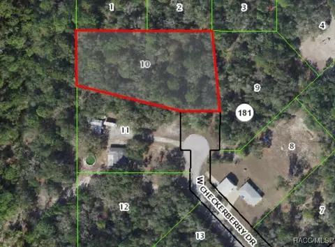 12870 W Checkerberry Dr, Crystal River, FL 34428