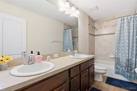 Bath - 1576 E Cleveland St, Hernando, FL 34442 photo 3 of 4
