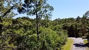 8178 W Windhaven Pl, Homosassa, FL 34448