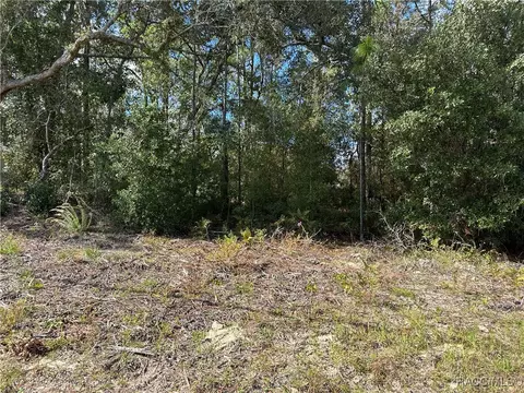 663 W Homeway Loop, Citrus Springs, FL 34434
