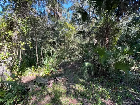 6915 E Totem Ct, Hernando, FL 34442 photo 2