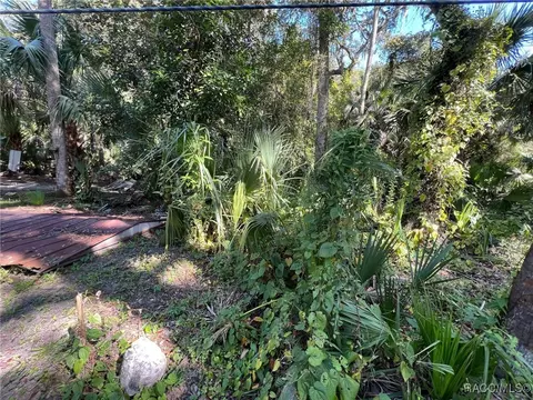 6915 E Totem Ct, Hernando, FL 34442 photo 3
