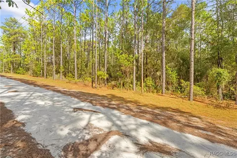 0 Cartwrite Rd, Spring Hill, FL 34609 photo 18