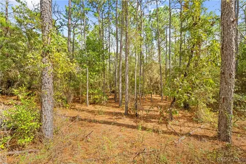 0 Cartwrite Rd, Spring Hill, FL 34609 photo 21