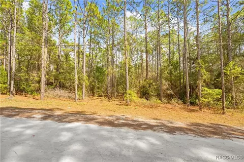 0 Cartwrite Rd, Spring Hill, FL 34609 photo 19