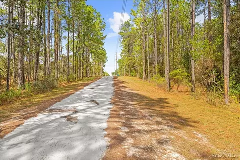 0 Cartwrite Rd, Spring Hill, FL 34609 photo 17