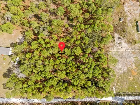 0 Cartwrite Rd, Spring Hill, FL 34609 photo 9