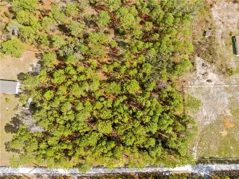 0 Cartwrite Rd, Spring Hill, FL 34609 photo 10