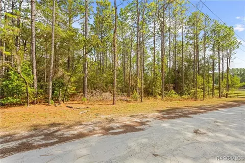 0 Cartwrite Rd, Spring Hill, FL 34609 photo 20