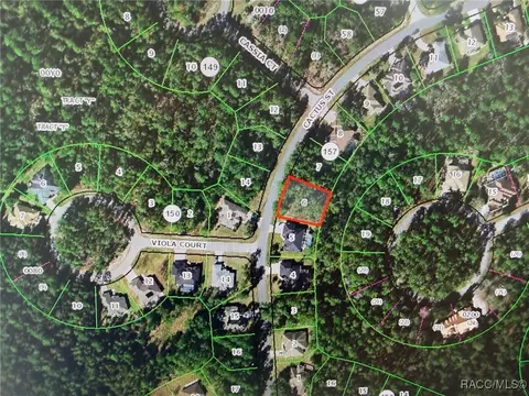 12 Cactus St, Homosassa, FL 34446