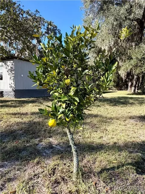 22 Pine St, Inglis, FL 34449 photo 8