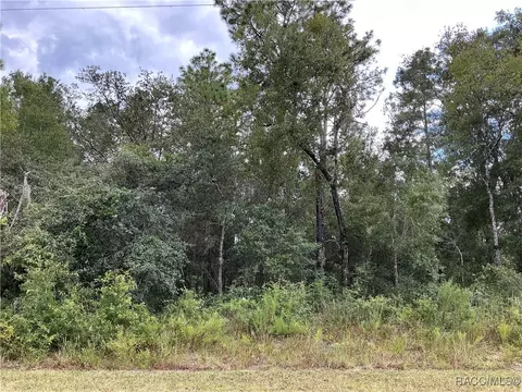 2846 E Celina St, Inverness, FL 34453