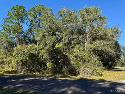 309 W Club Ct, Citrus Springs, FL 34434