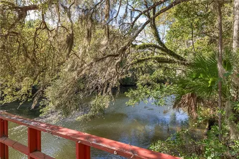 View/Area - 90 Winding River Ln, Inglis, FL 34449 photo 6 of 6