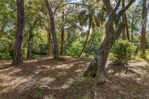 Exterior - 90 Winding River Ln, Inglis, FL 34449 photo 23 of 26