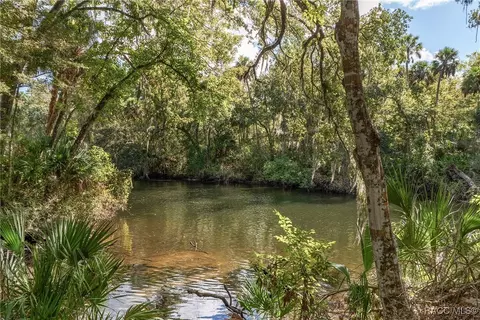 View/Area - 90 Winding River Ln, Inglis, FL 34449 photo 5 of 6