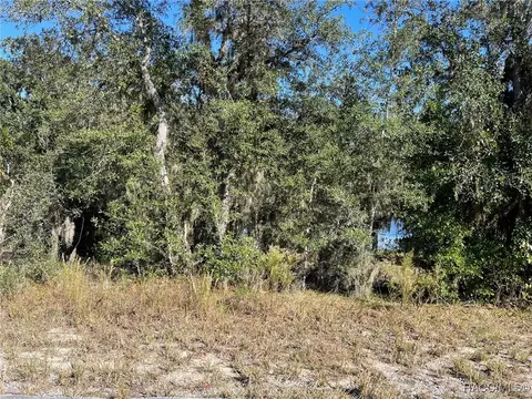 lot S 444 445 Sw Shorewood Dr, Dunnellon, FL 34431