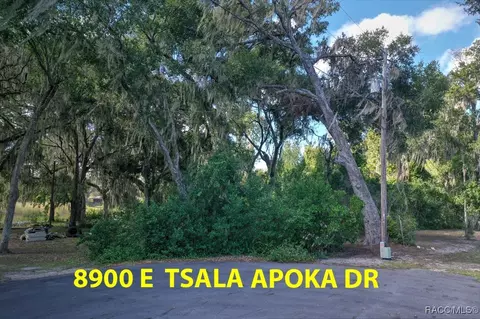 8900 E Tsala Apopka Dr, Inverness, FL 34450