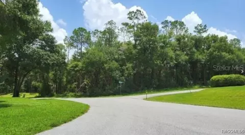 00 SW 192nd Cir, Dunnellon, FL 34432