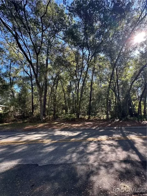 411 W Inverness Blvd, Inverness, FL 34452