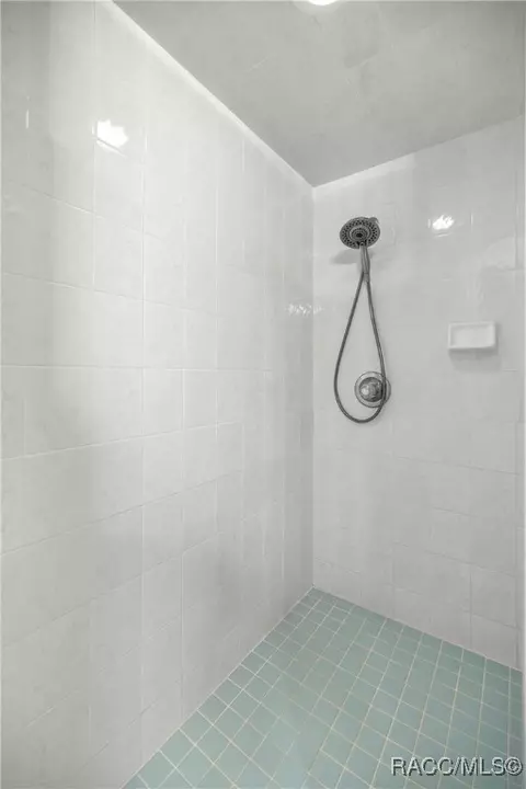 Bath - 785 W Toucan Loop, Hernando, FL 34442 photo 2 of 3