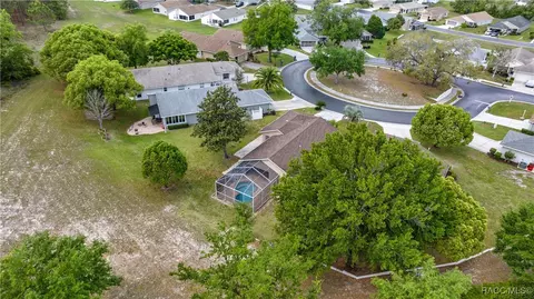 View/Area - 785 W Toucan Loop, Hernando, FL 34442 photo 9 of 13