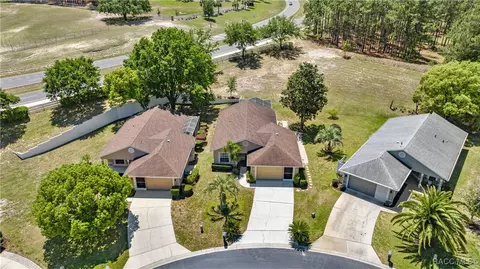 View/Area - 785 W Toucan Loop, Hernando, FL 34442 photo 2 of 13