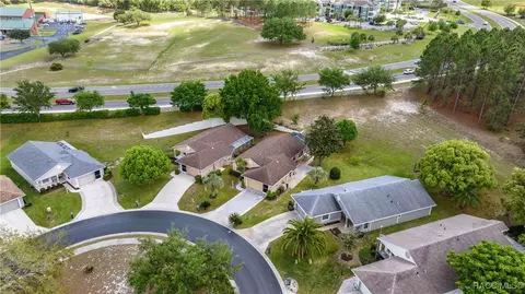 View/Area - 785 W Toucan Loop, Hernando, FL 34442 photo 11 of 13
