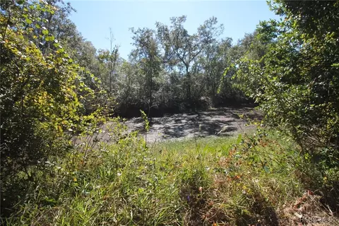 4806 E Cork Tree Ln, Hernando, FL 34442 photo 4