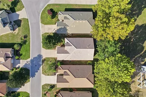 View/Area - 1196 W Diamond Shore Loop, Hernando, FL 34442 photo 2 of 4