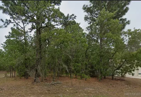 1485 W Lamplighter St, Citrus Springs, FL 34434