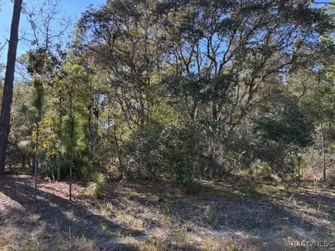 10908 N Mataro Ave, Citrus Springs, FL 34434