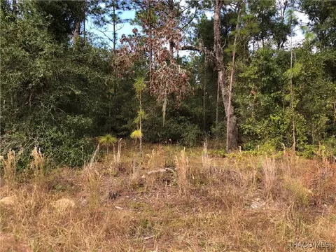 00000 SW 45 St, Ocala, FL 34481