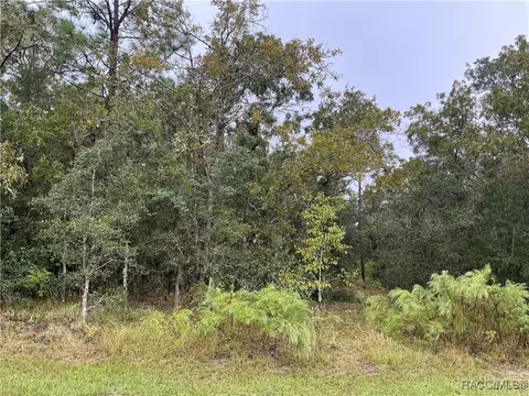 1860 E Saint James Loop, Inverness, FL 34453