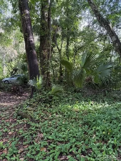 9379 E Tin Pan Aly, Inverness, FL 34453