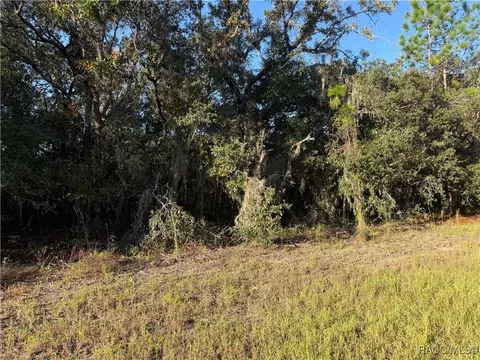 3238 N Sheriff Dr, Beverly Hills, FL 34465