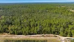 9478 N Timber Creek Ter, Dunnellon, FL 34433