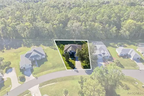 View/Area - 3542 N Chandler Dr, Hernando, FL 34442 photo 1 of 7