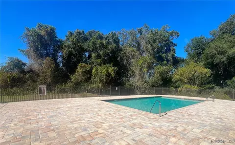 Exterior - 3542 N Chandler Dr, Hernando, FL 34442 photo 9 of 9