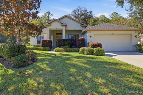 Exterior - 3542 N Chandler Dr, Hernando, FL 34442 photo 1 of 9