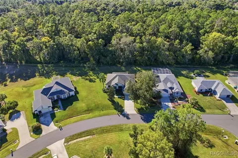 View/Area - 3542 N Chandler Dr, Hernando, FL 34442 photo 2 of 7