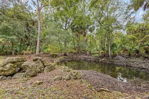 Exterior - 154 SE Hammock Rd, Inglis, FL 34449 photo 4 of 10