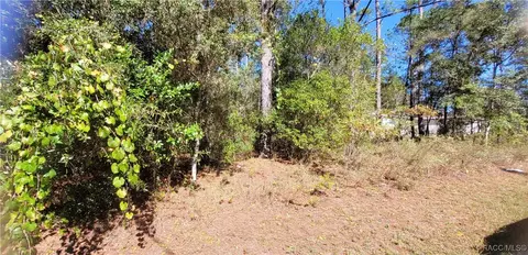 1837 W Water Lily Dr, Citrus Springs, FL 34434
