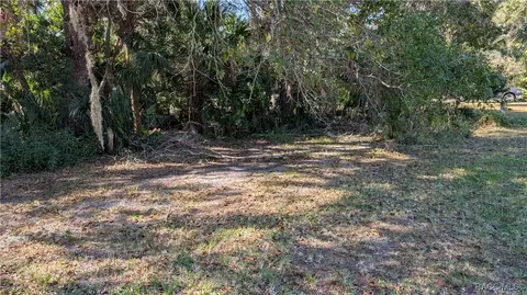 11804 W Fisherman Ln, Homosassa, FL 34448
