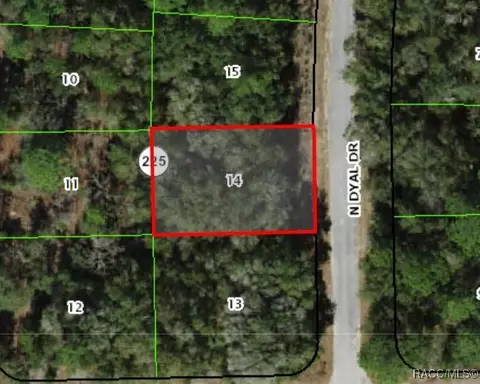 10119 N Dyal Dr, Citrus Springs, FL 34434